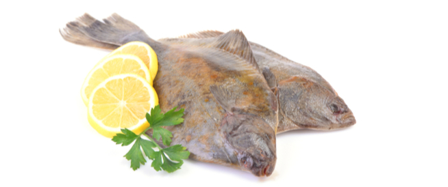 tbl_articles_article_27098_4888522f92e-08cd-432a-8462-9de699e1bb9d سمك الهلبوت: ما الذي عليك معرفته عنه؟