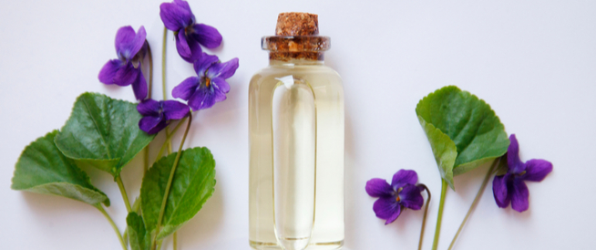 tbl_articles_article_27223_106d71365ac-4e9a-4f85-9b1c-0fd47224bd76 زيت البنفسج للشعر: هل هو حقًّا مفيد؟