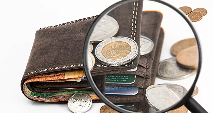 محفظة نقود محفظة نقود