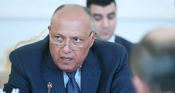 سامح شكري سامح شكري