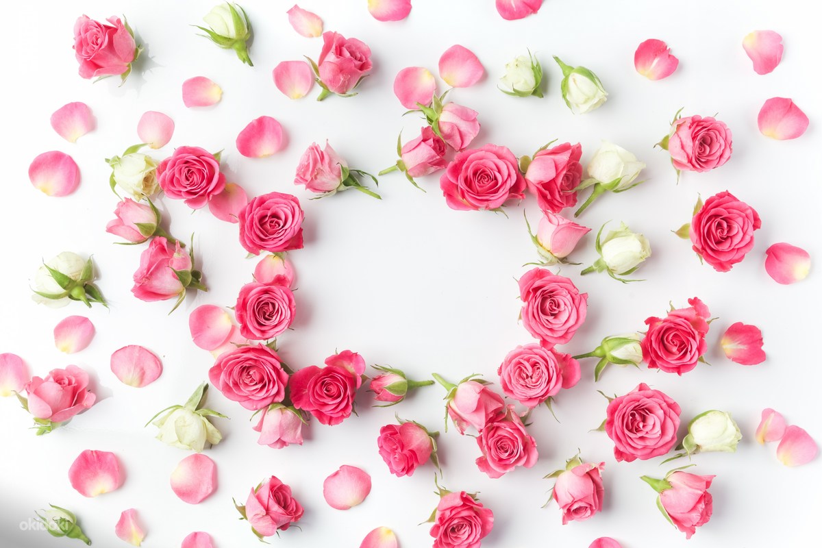 خلفيات ورود جميلة جدا خلفيات ورود جميلة جدا