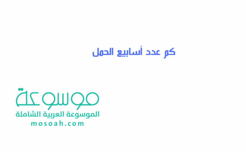 كم عدد أسابيع الحمل