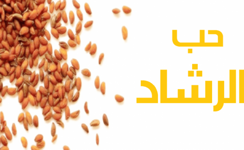 أضرار حب الرشاد