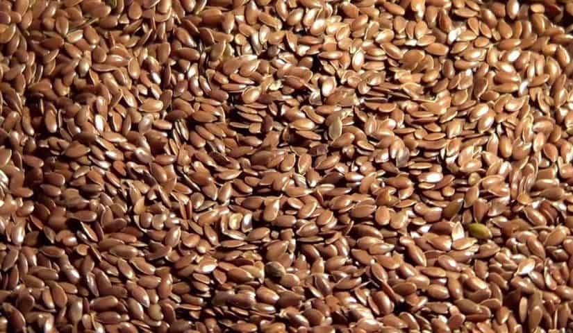 d8a7d8b3d8aad8aed8afd8a7d985-d8add8a8-d8a7d984d8b1d8b4d8a7d8af-825x480-2 استخدام حب الرشاد