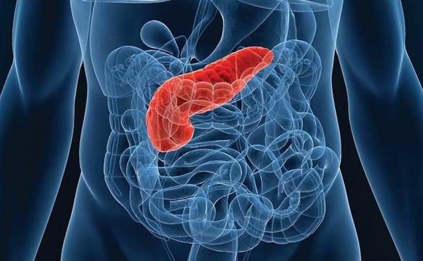 البنكرياس والسكر