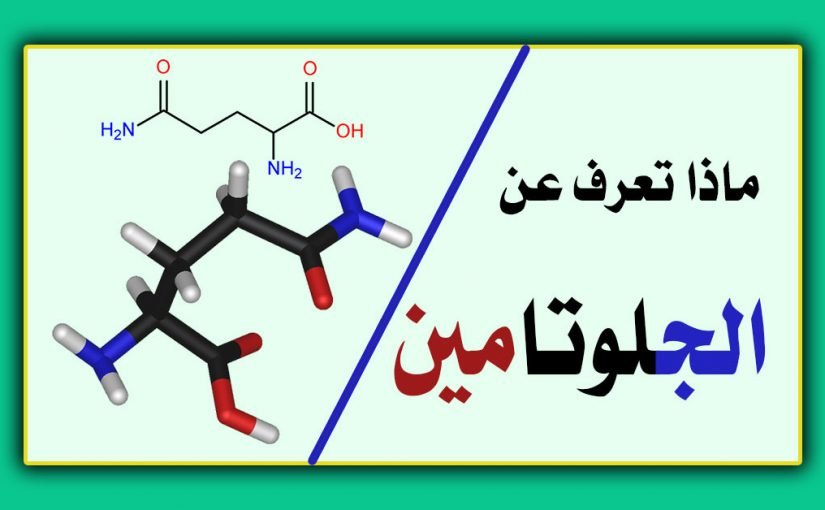 الجلوتامين