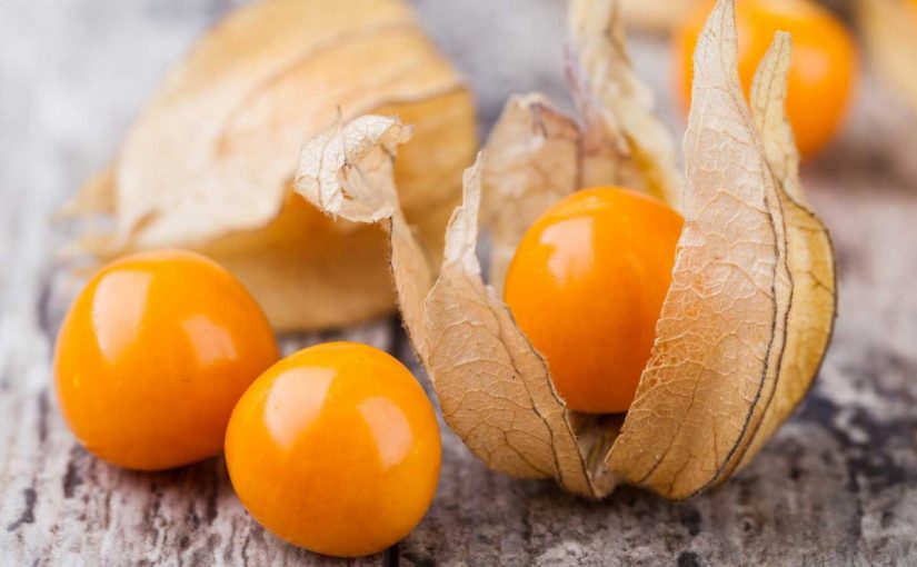 d8a7d984d8add8b1d986d983d8b4-825x510-2 الحرنكش