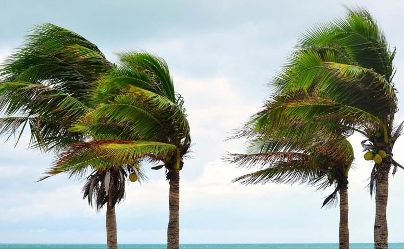 d8a7d984d8b1d98ad8a7d8ad-d981d98a-d8a7d984d985d986d8a7d985-825x510-2 الرياح في المنام