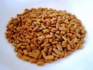 الحلبة الحلبة