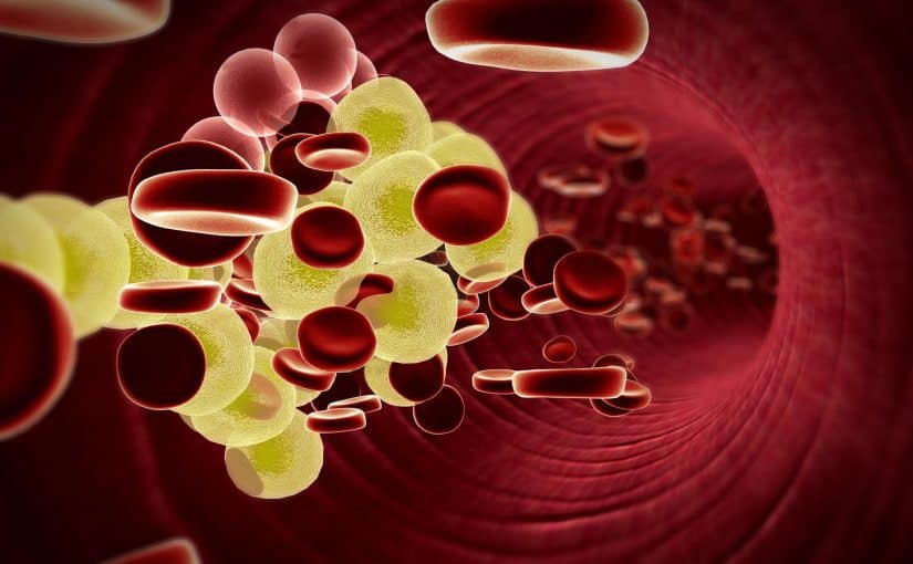 تحليل الدهون الثلاثية والكوليسترول