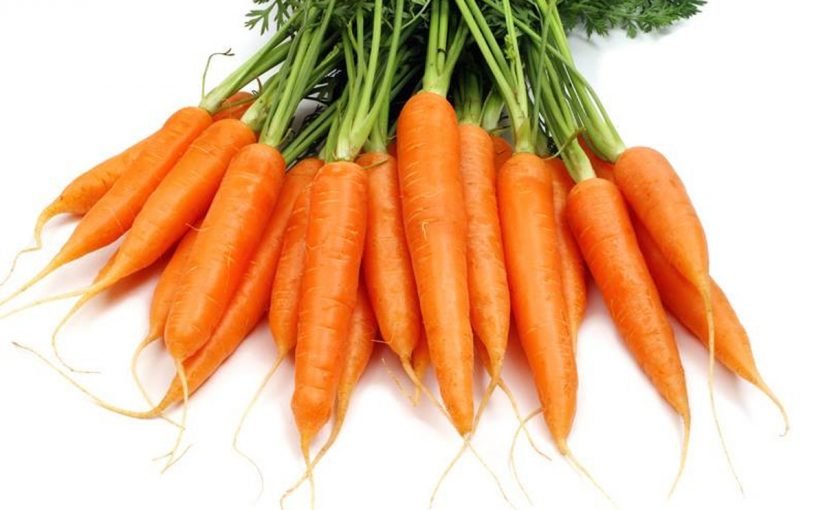 d8aad981d8b3d98ad8b1-d8a7d984d8acd8b2d8b1-d981d98a-d8a7d984d985d986d8a7d985d8b6-825x510-2 تفسير الجزر في المنام