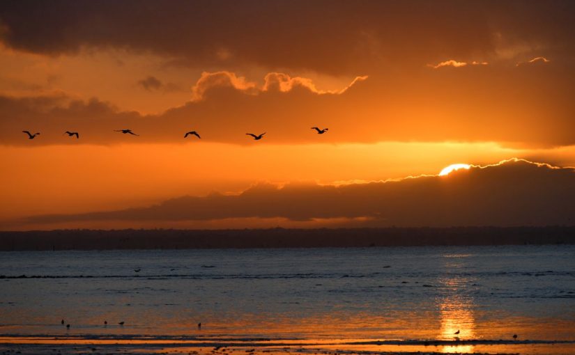 d8afd8b9d8a7d8a1-d8a7d984d985d8b3d8a7d8a1-825x510-2 دعاء المساء