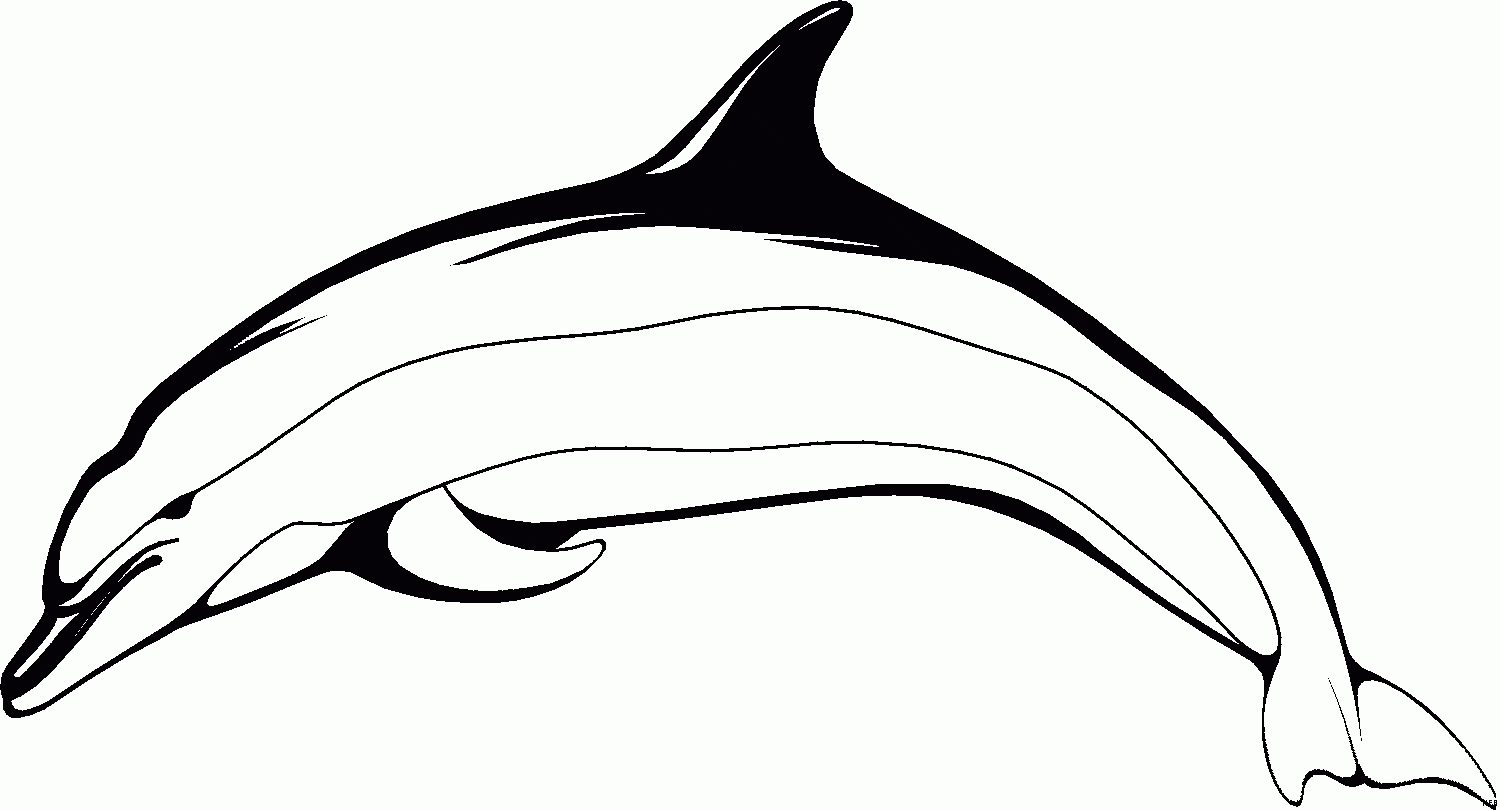 رسومات دولفين للتلوين