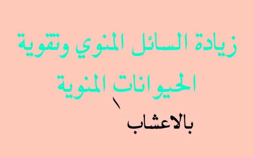 زيادة الحيوانات الذكرية عند الرجل بالاعشاب