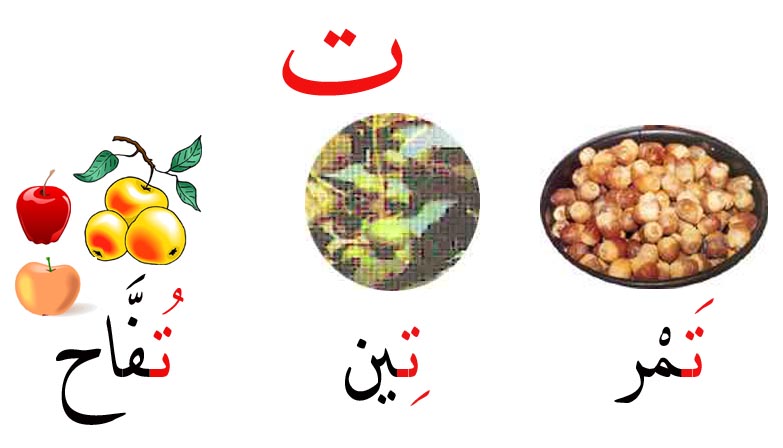صور حرف التاء