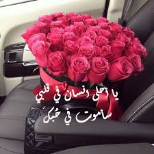 صور ورد جميلة بعبارات