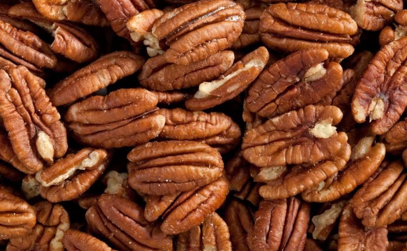 d981d988d8a7d8a6d8af-d8a7d984d8a8d98ad983d8a7d986-825x510-2 فوائد البيكان