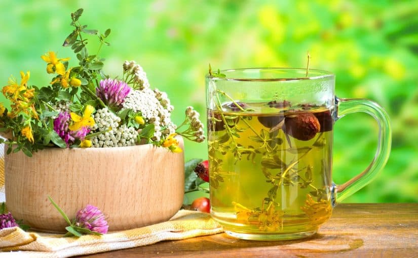 d981d988d8a7d8a6d8af-d8a7d984d8b9d8b4d8a8d8a9-d8a7d984d8aed8b6d8b1d8a7d8a1-825x510-2 فوائد العشبة الخضراء