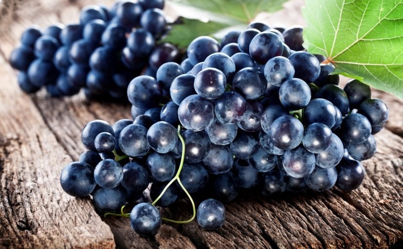 d981d988d8a7d8a6d8af-d8a7d984d8b9d986d8a8-d8a7d984d8a7d8b3d988d8af-d984d984d983d8a8d8af-825x510-2 فوائد العنب الاسود للكبد