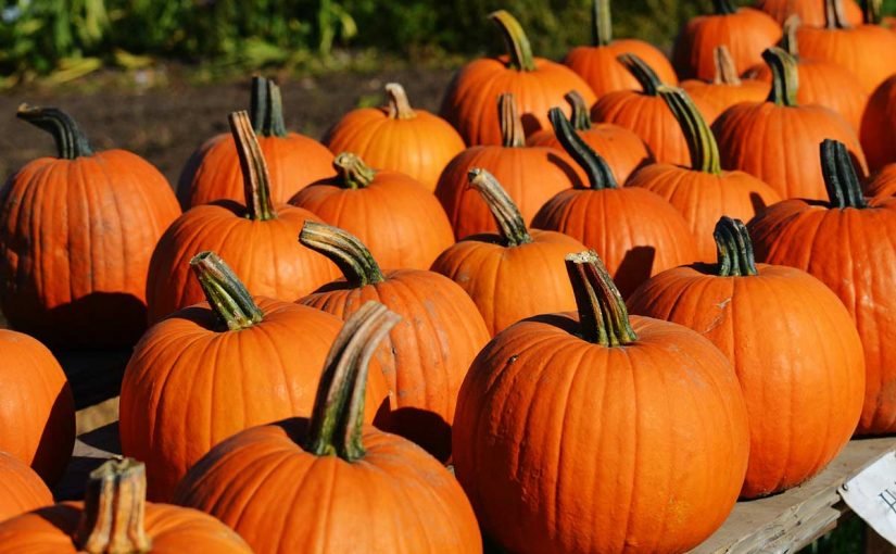 ما هي فوائد حب القرع