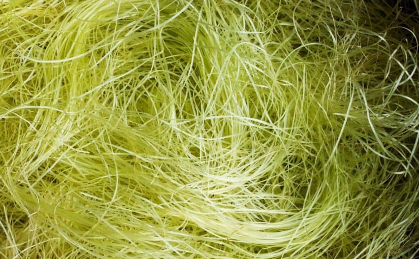 d981d988d8a7d8a6d8af-d8add8b1d98ad8b1-d8a7d984d8b0d8b1d8a9-825x510-2 فوائد حرير الذرة