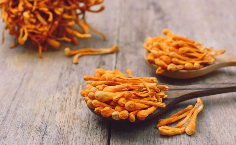 d981d988d8a7d8a6d8af-d981d8b7d8b1-d8a7d984d983d988d8b1d8afd98ad8b3d8a8d8b3-825x510-2 فوائد فطر الكورديسبس