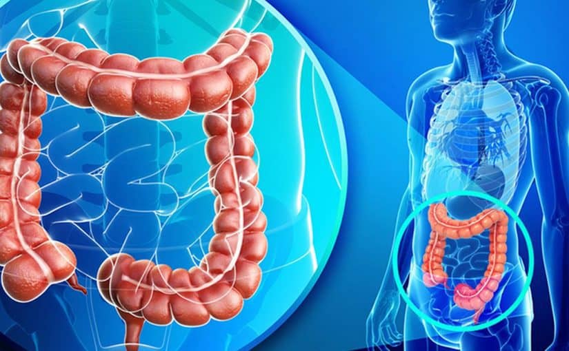 علاج القولون العصبي ناصر الرميح