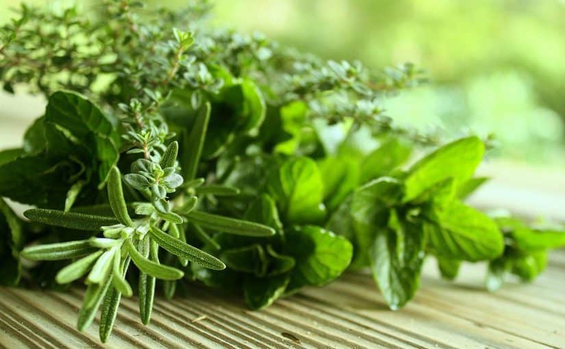 d986d8a8d8a7d8aa-d8a7d984d8add984d981d8a7d8a1-825x510-2 فوائد نبات الحلفاء و أضراره