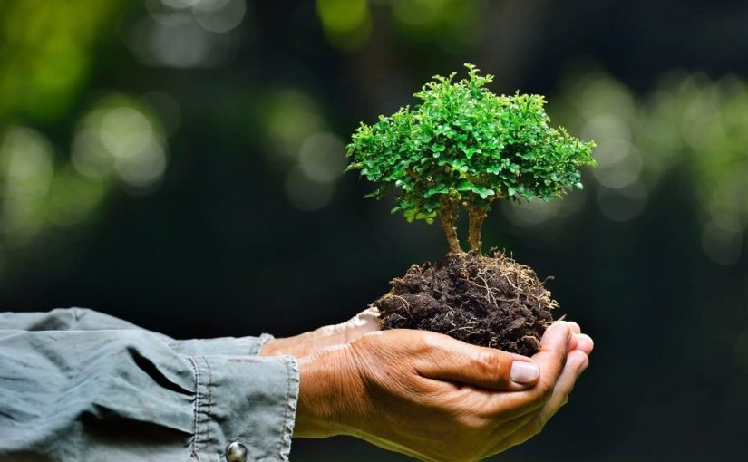 d987d984-d8aad8b9d984d985-d8b9d986-d8a7d984d8a8d98ad8a6d8a9-825x510-2 هل تعلم عن البيئة