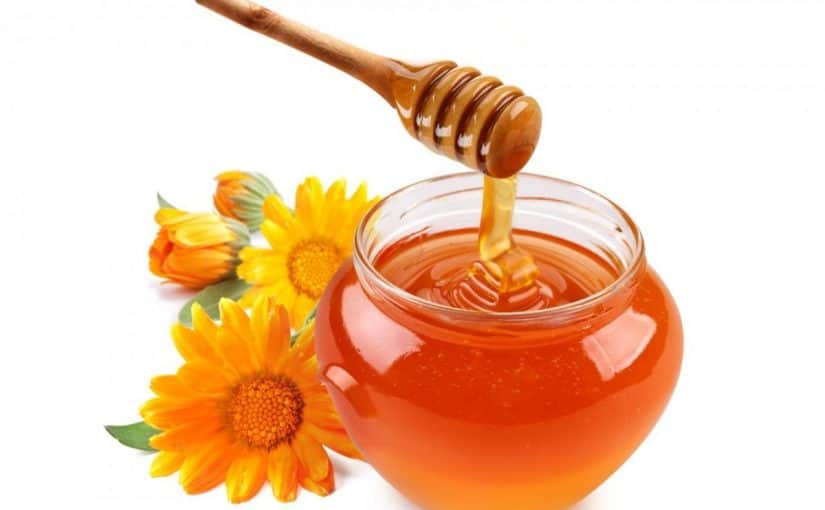 d988d8b5d981d8a7d8aa-d985d8b0d98ad8a8-d984d984d8a8d984d8bad985-d988d985d988d8b3d8b9-d984d984d8b4d8b9d8a8-d8a7d984d987d988d8a7d8a6d98ad8a9-d984d984d983d8a8d8a7d8b1-825x510-2 وصفات مذيب للبلغم وموسع للشعب الهوائية للكبار