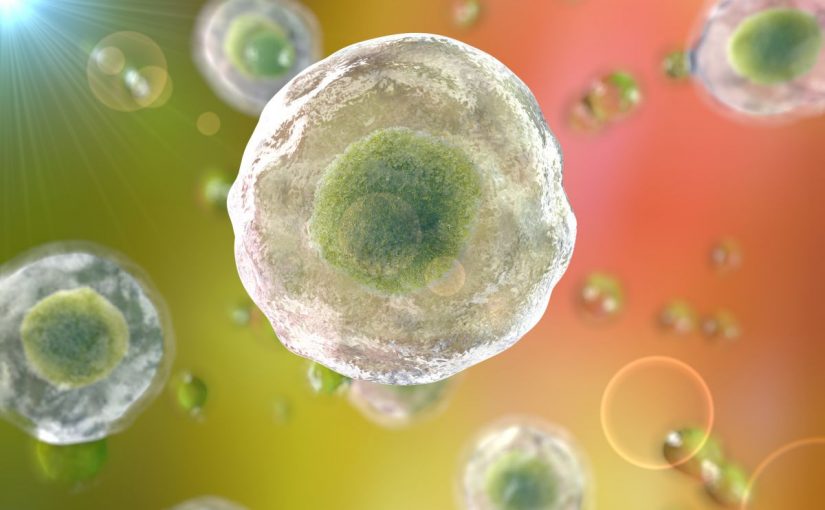 d98ad986d982d8b3d985-d8a7d984d8b3d98ad8aad988d8a8d984d8a7d8b2d985-d8a8d8b8d987d988d8b1-d8a7d984d8b5d981d8a7d8a6d8ad-d8a7d984d8aed984d988d98ad8a9-d981d98a-d8aed984d8a7d98ad8a7-825x510-2 ينقسم السيتوبلازم بظهور الصفائح الخلوية في خلايا