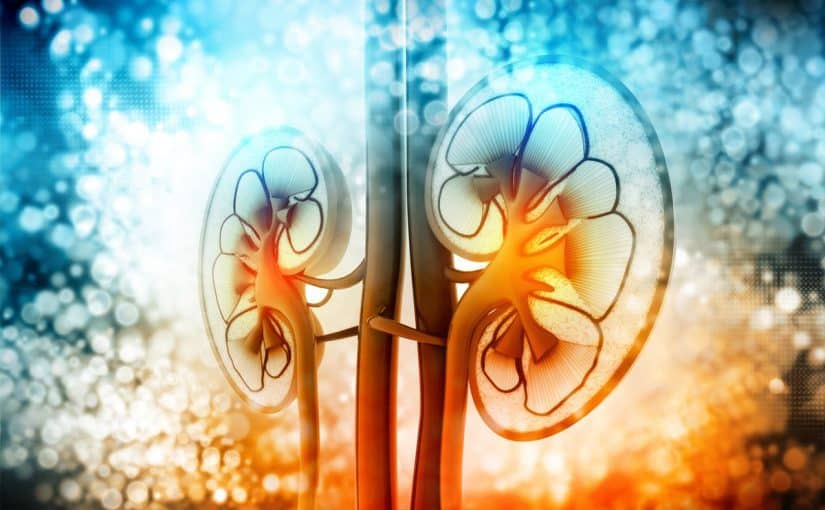 dgtwxnvu0aapzxb-825x510-2 علاج الزلال بالأعشاب