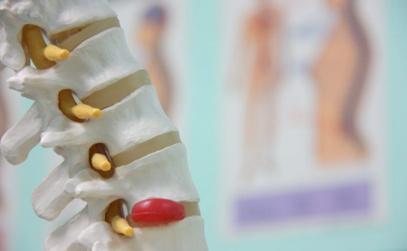 dtbg4axw0auggrk-825x510-2 النسيج الغضروفي