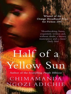 half of ayellow sun