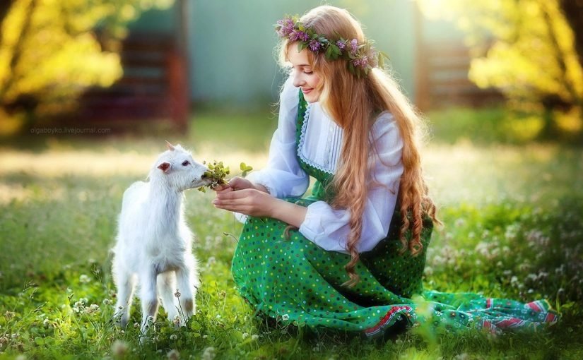 صور خلفيات عن الرفق