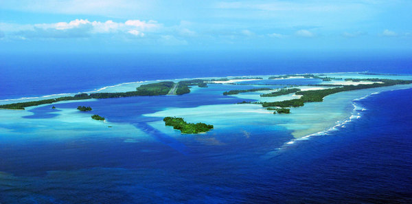 one of the largest remaining stands of Pisonia beach forest in the Pacific