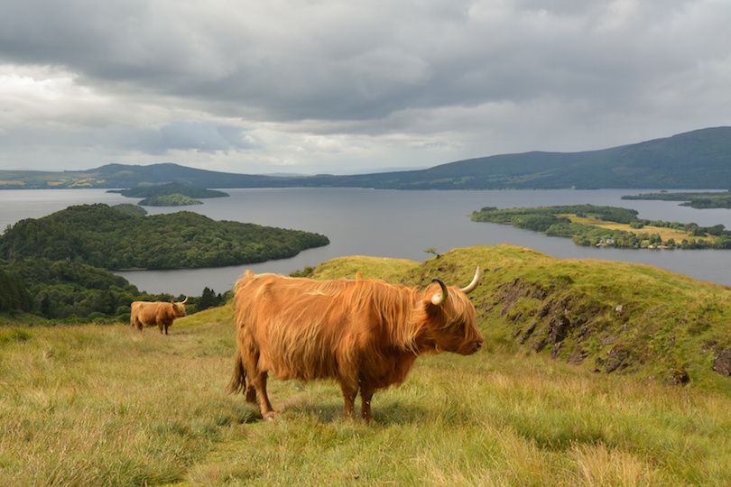 Loch Lomond and the Trossachs