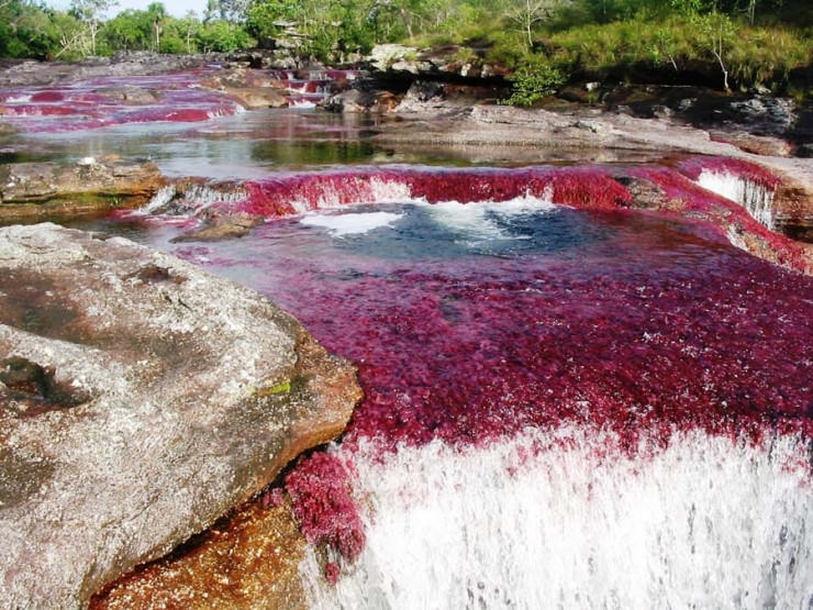A popular time to visit Caño Cristales