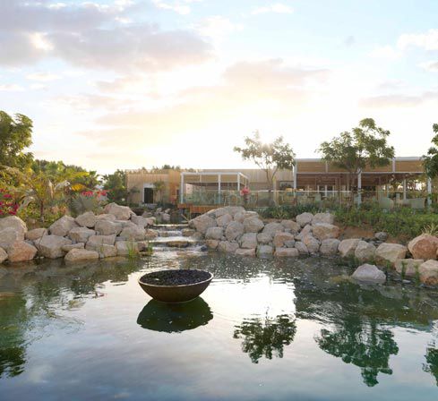 A setting where you can re-connect with the environment and enjoy expertly prepared soul-satisfying food made from the finest ingredients