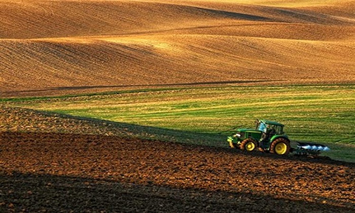 agriculture-4 انطلاق الموسم الفلاحي 2019-2020 من جهة الرباط-سلا-القنيطرة