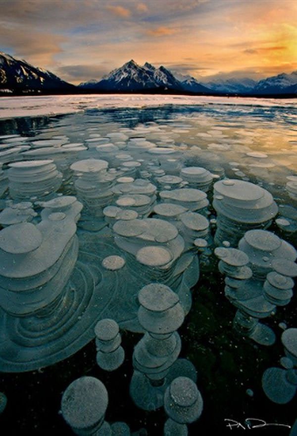 Abraham Lake