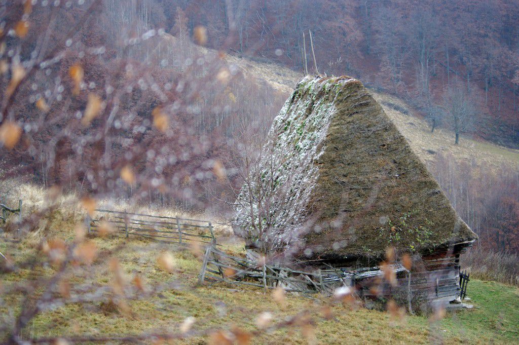 Apuseni