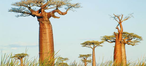 dakar senegal