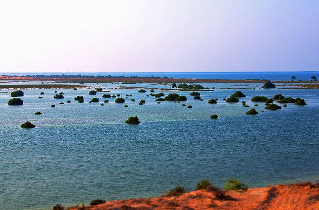 جزيرة Seneyah