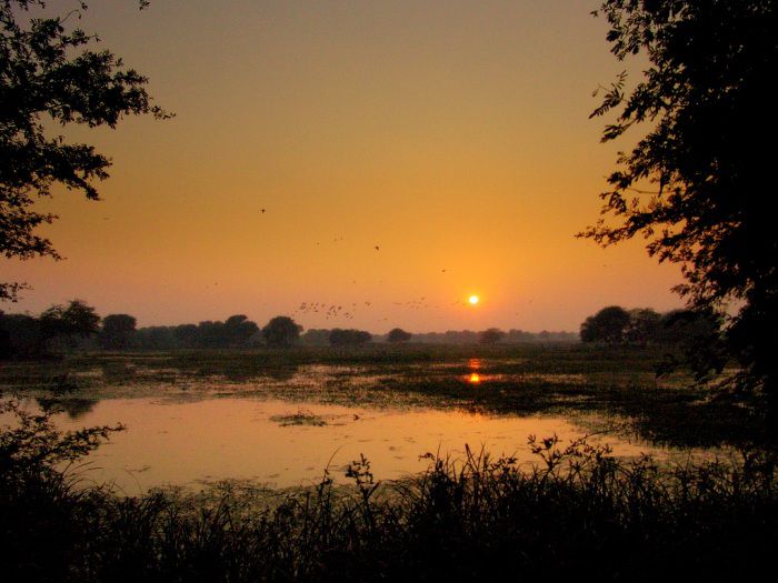 Bharatpur