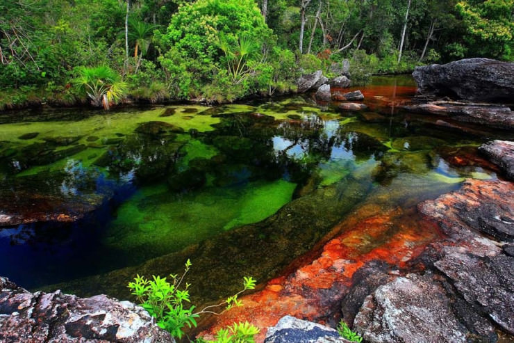 Caño Cristales, Meta Department