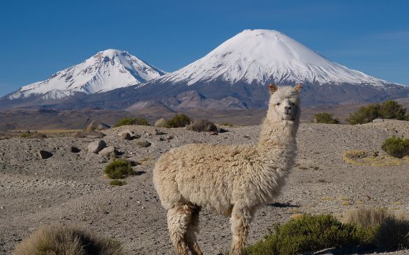 Chile
