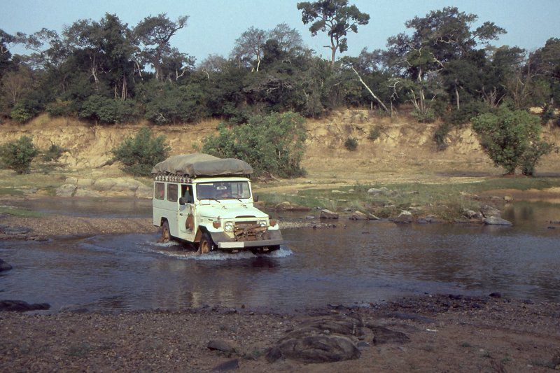 Comoé National Park in Safari