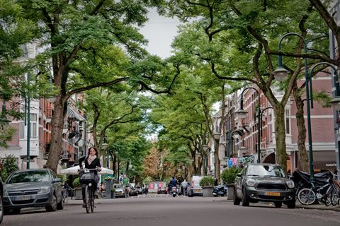 Cornelis Schuytstraat