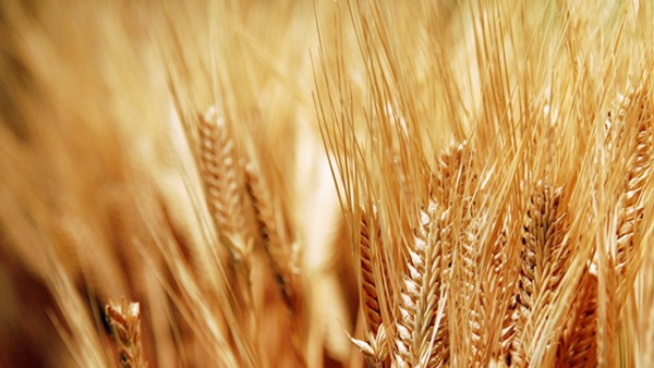 d8a7d984d8b4d8b9d98ad8b1-2